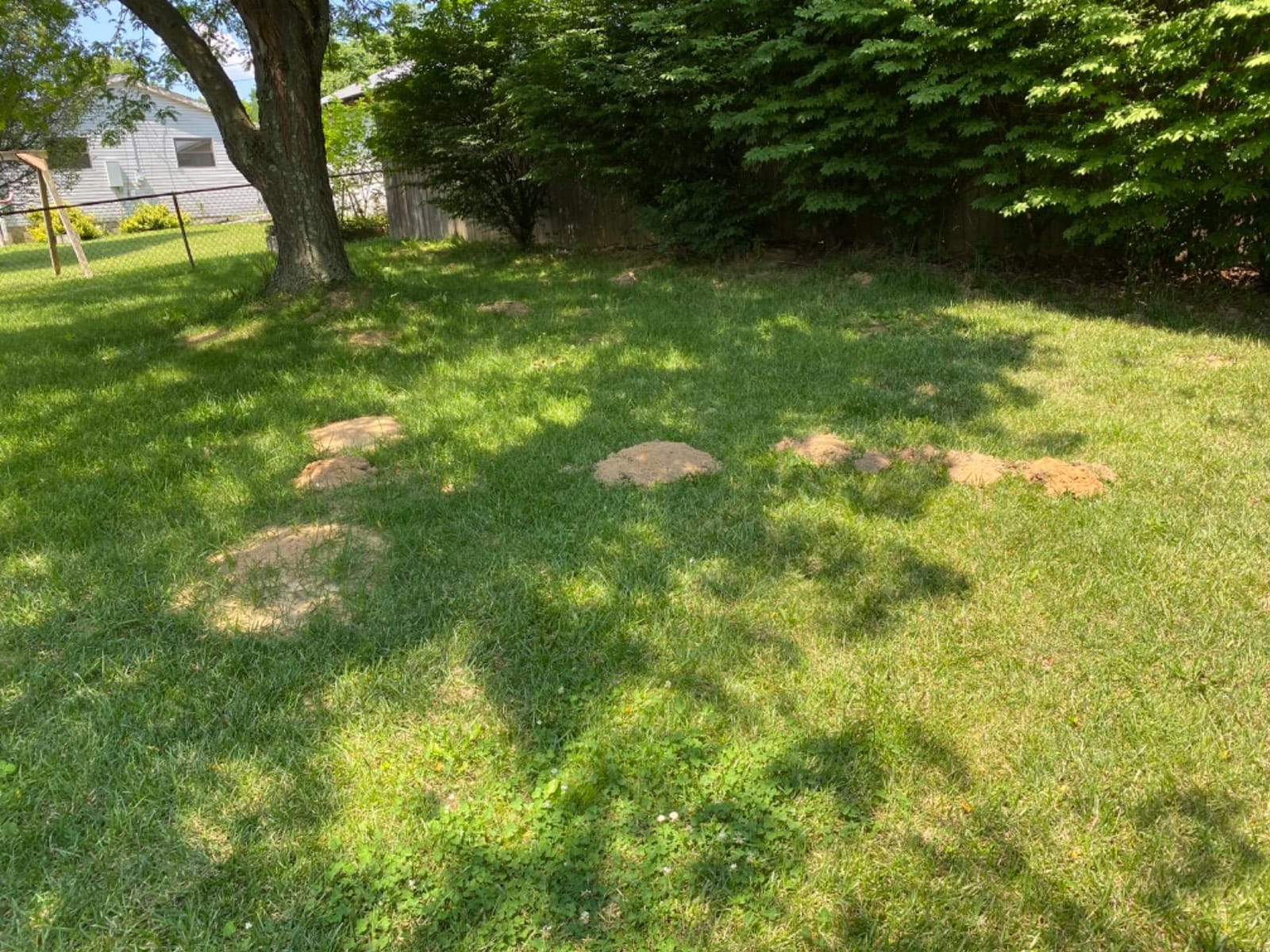 Tomcat Mole & Gopher Repellent Granules, 4 lbs. customer photo 1