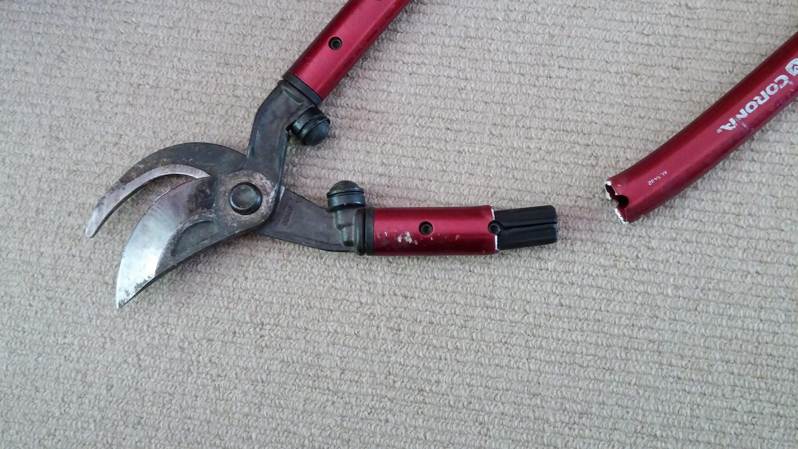 Corona Tools | 36-inch Branch Cutter MAXFORGED Orchard Loppers | Tree Trimmer Cuts Branches up to 2 ¼-inches in Diameter | AL 8482, Red customer photo 1