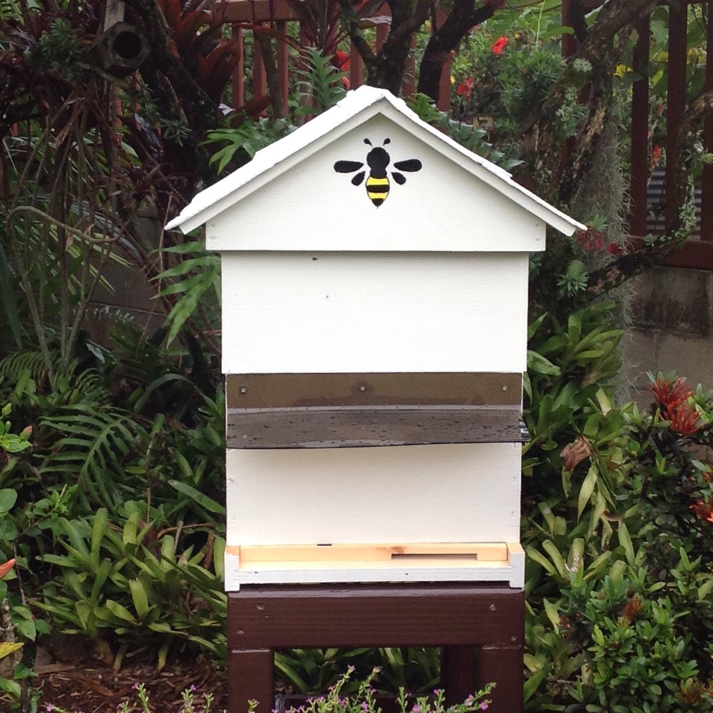 Mann Lake Traditional Complete Bee Hive Kit, 9⅝