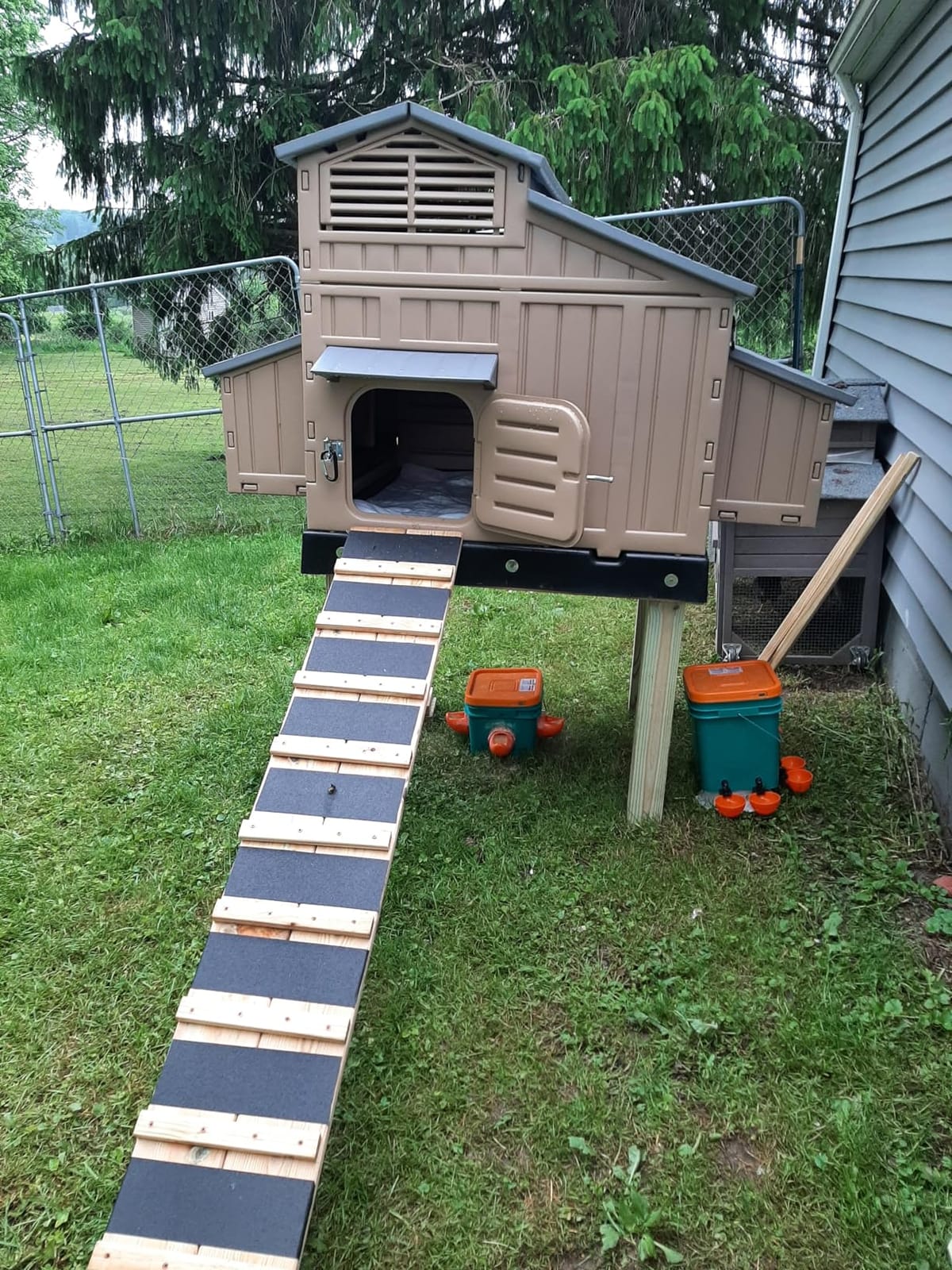 Hatching Time Formex Snap Lock 4-6 Large Chicken Coop, Backyard Hen House customer photo 2