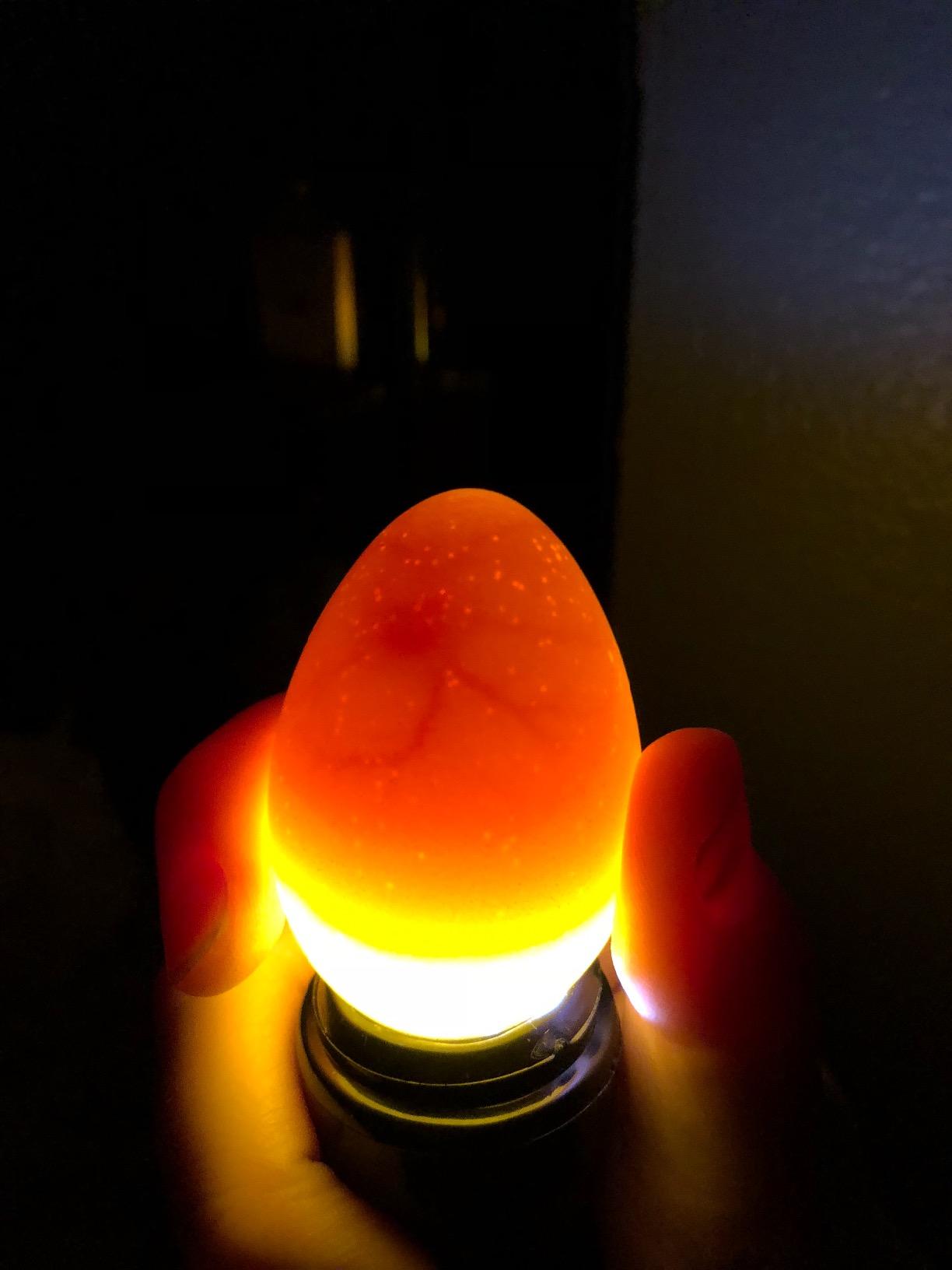 Magicfly Bright Cool LED Light Egg Candler Tester, Powered Only by Power Supply customer photo 1