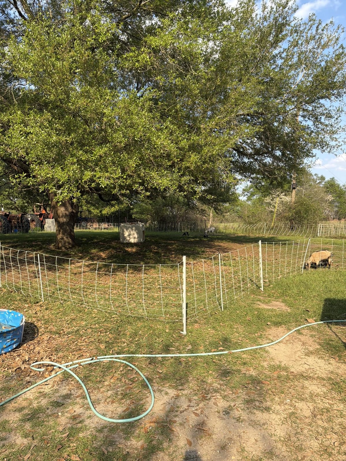 Premier 1 ElectroNet® Electric Fence for Sheep & Goats – 35