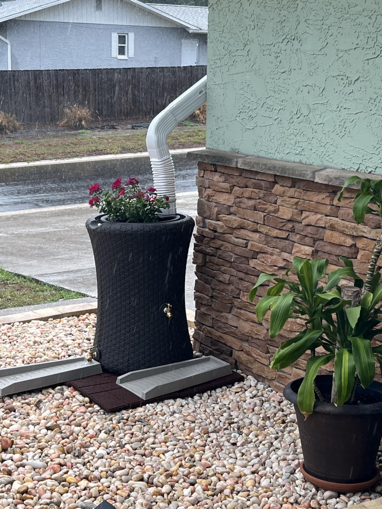 Good Ideas Impressions Nantucket Rain Water Collection Barrel, 50 Gallon customer photo 2