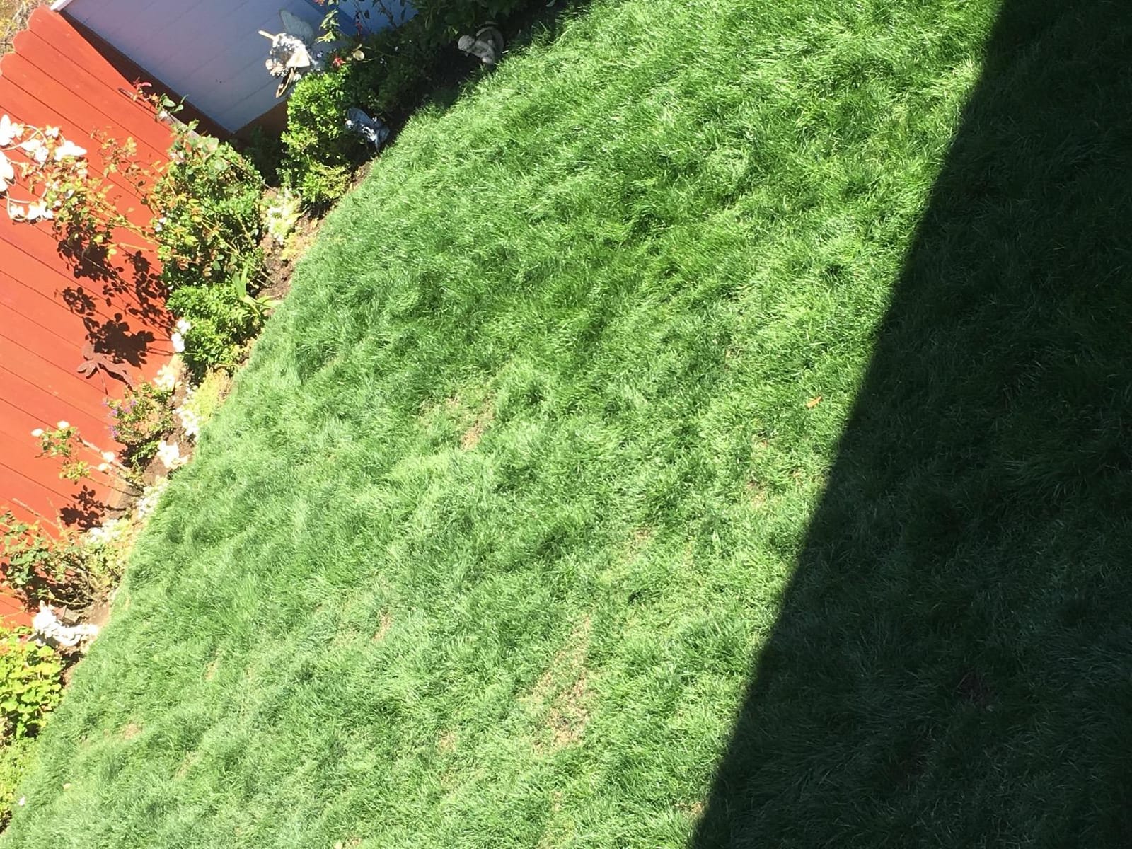 Soil Test Kit | Understand What Your Lawn or Garden Soil Needs, Not Sure What Fertilizer to Apply | Analysis Provides Complete Nutrient Analysis & Fertilizer Recommendation On Report customer photo 2