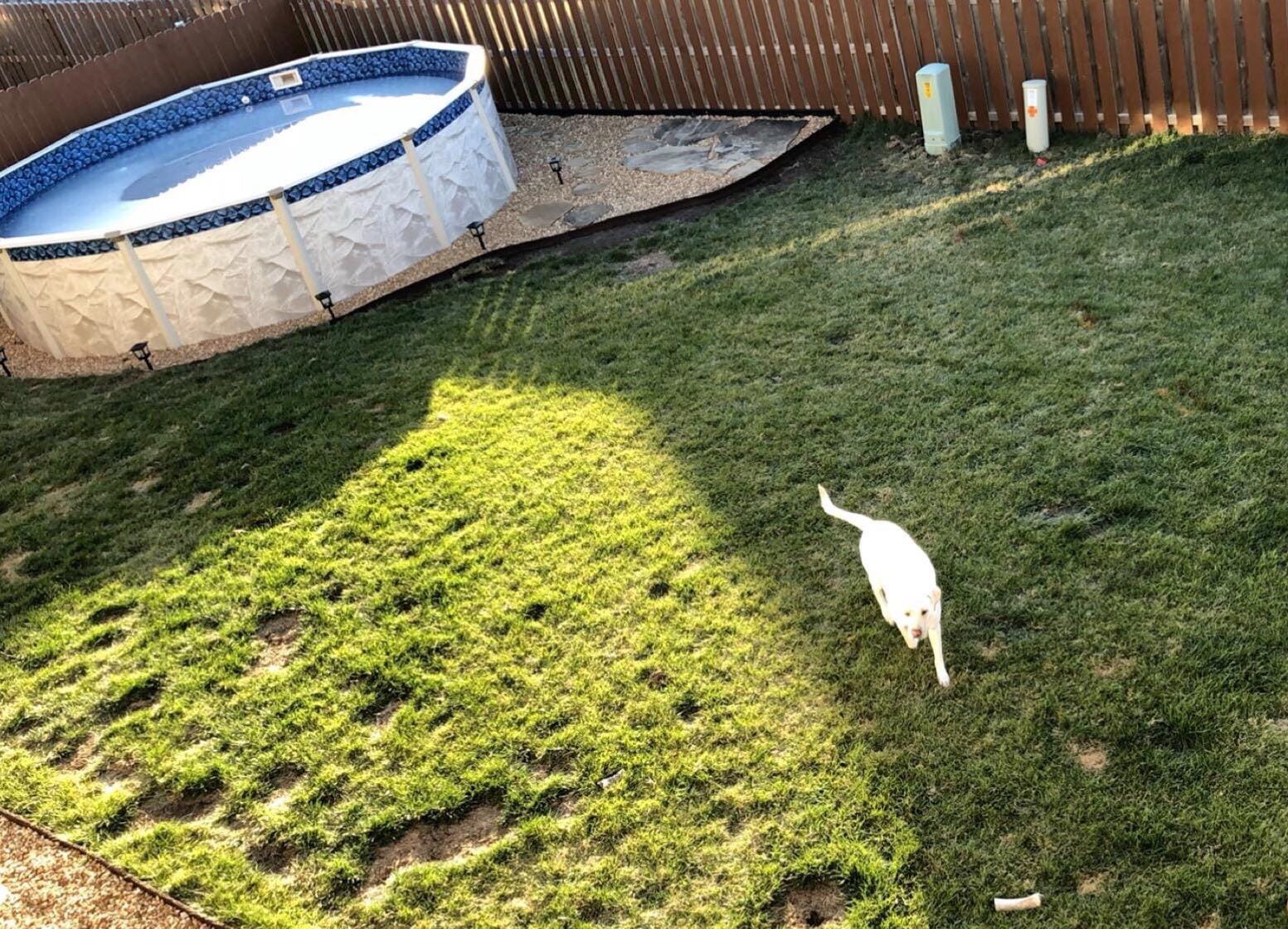 Aquarian Phoenix Round Above Ground Swimming Pool, 18' x 52 customer photo 1