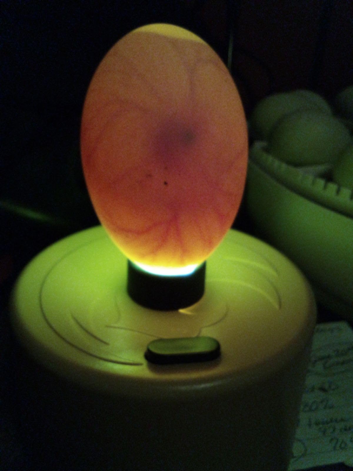 Titan Incubators High Intensity LED Chicken Egg Candler/Tester – Battery Powered customer photo 2
