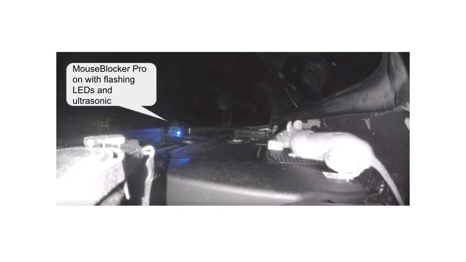 MouseBlocker Prox Plug-in Rodent Deterrent customer photo 2