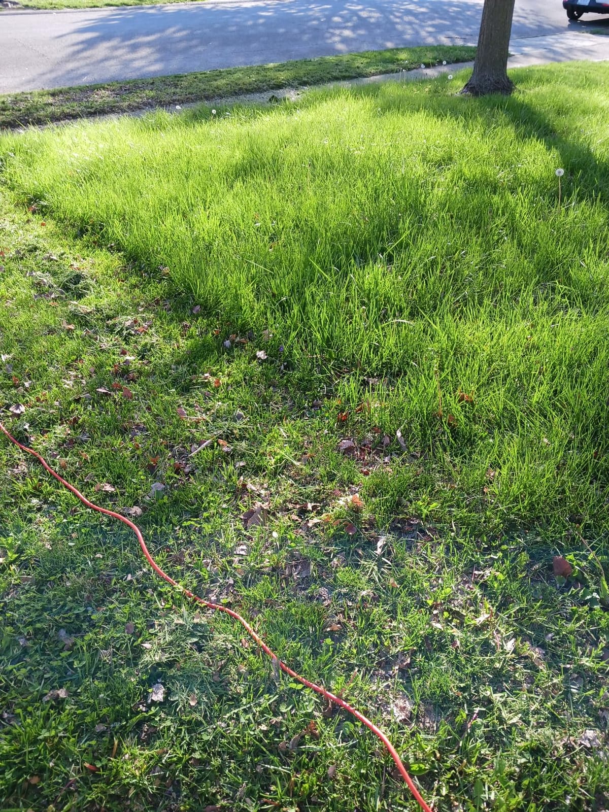 BLACK+DECKER Electric Lawn Mower with Bike Handle, 15-Inch, 10-Amp, Corded (BEMW472BH) customer photo 2
