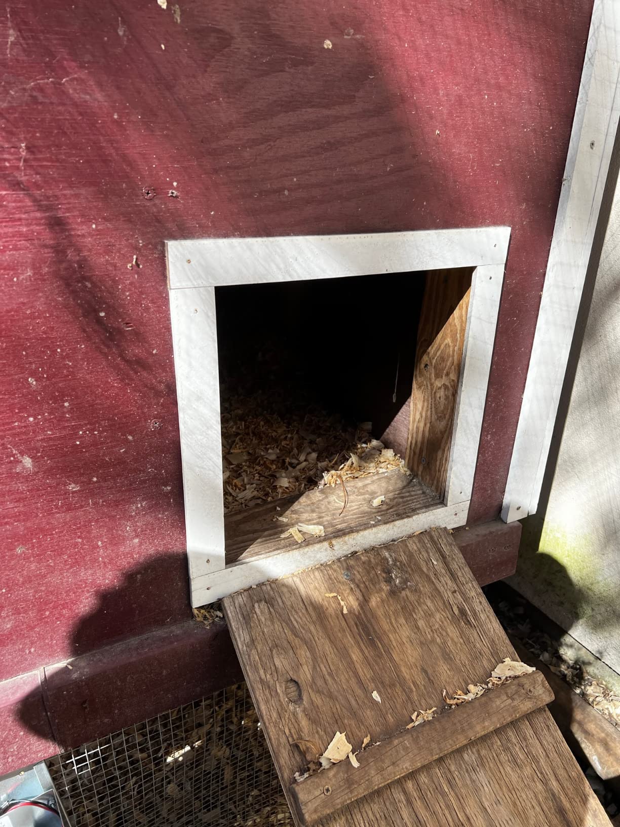 Automatic Chicken Coop Door Extra Large 13 x 10.5 Inch Opening, Heavy Duty Galvanized Steel, Predator Resistant, ADOR1 Made in USA customer photo 1