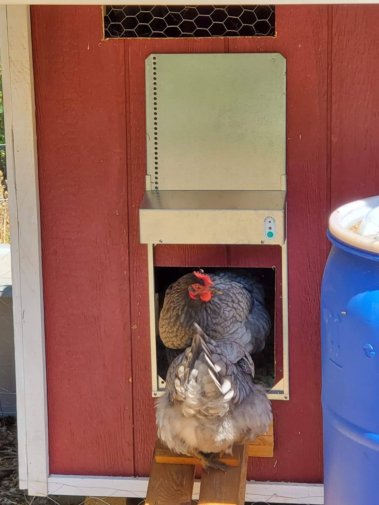 Automatic Chicken Coop Door Extra Large 13 x 10.5 Inch Opening, Heavy Duty Galvanized Steel, Predator Resistant, ADOR1 Made in USA customer photo 2