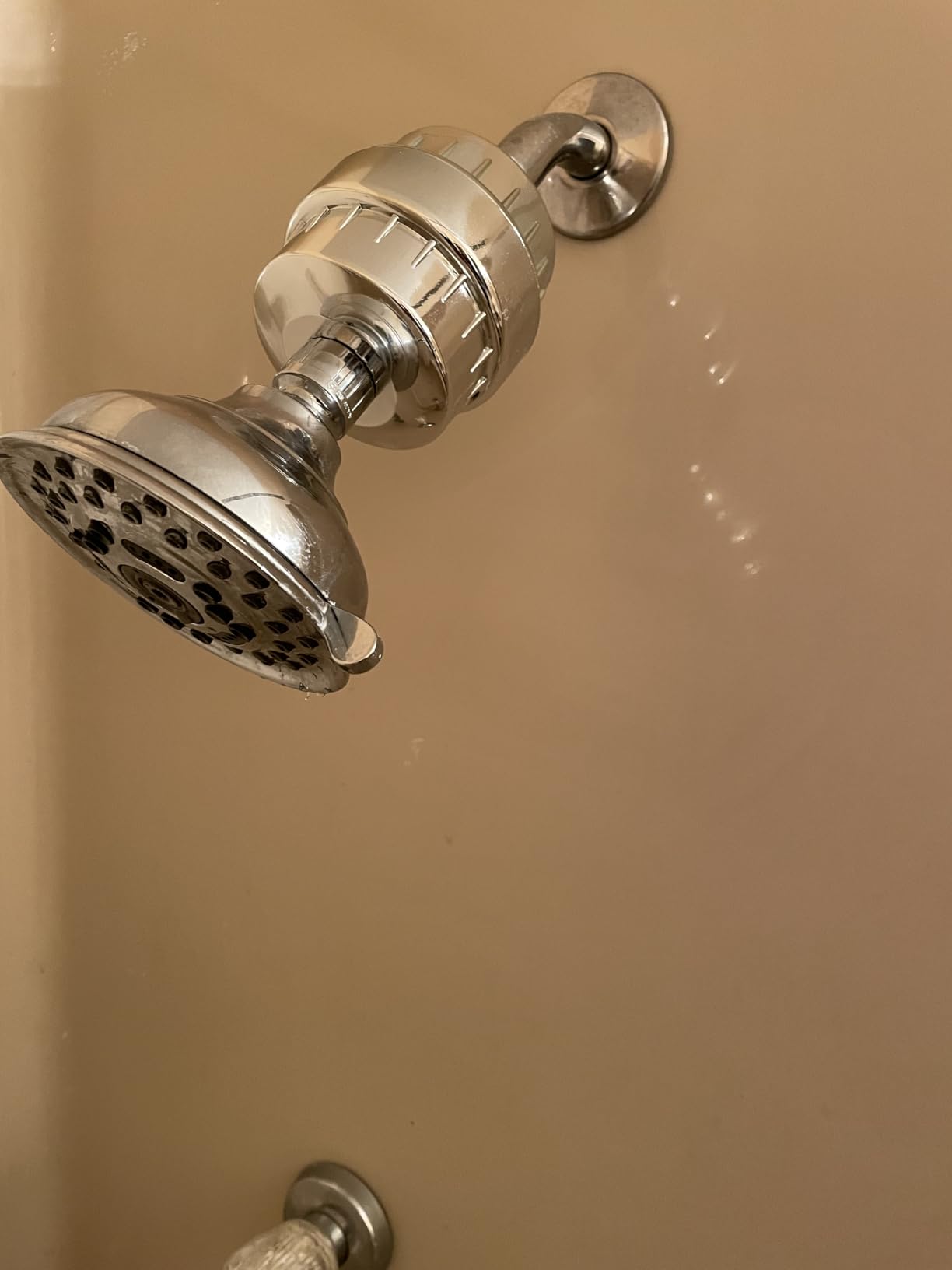 Aqua Earth Shower Filter for Hard Water, 20-Stage Vitamin C E Chlorine customer photo 1