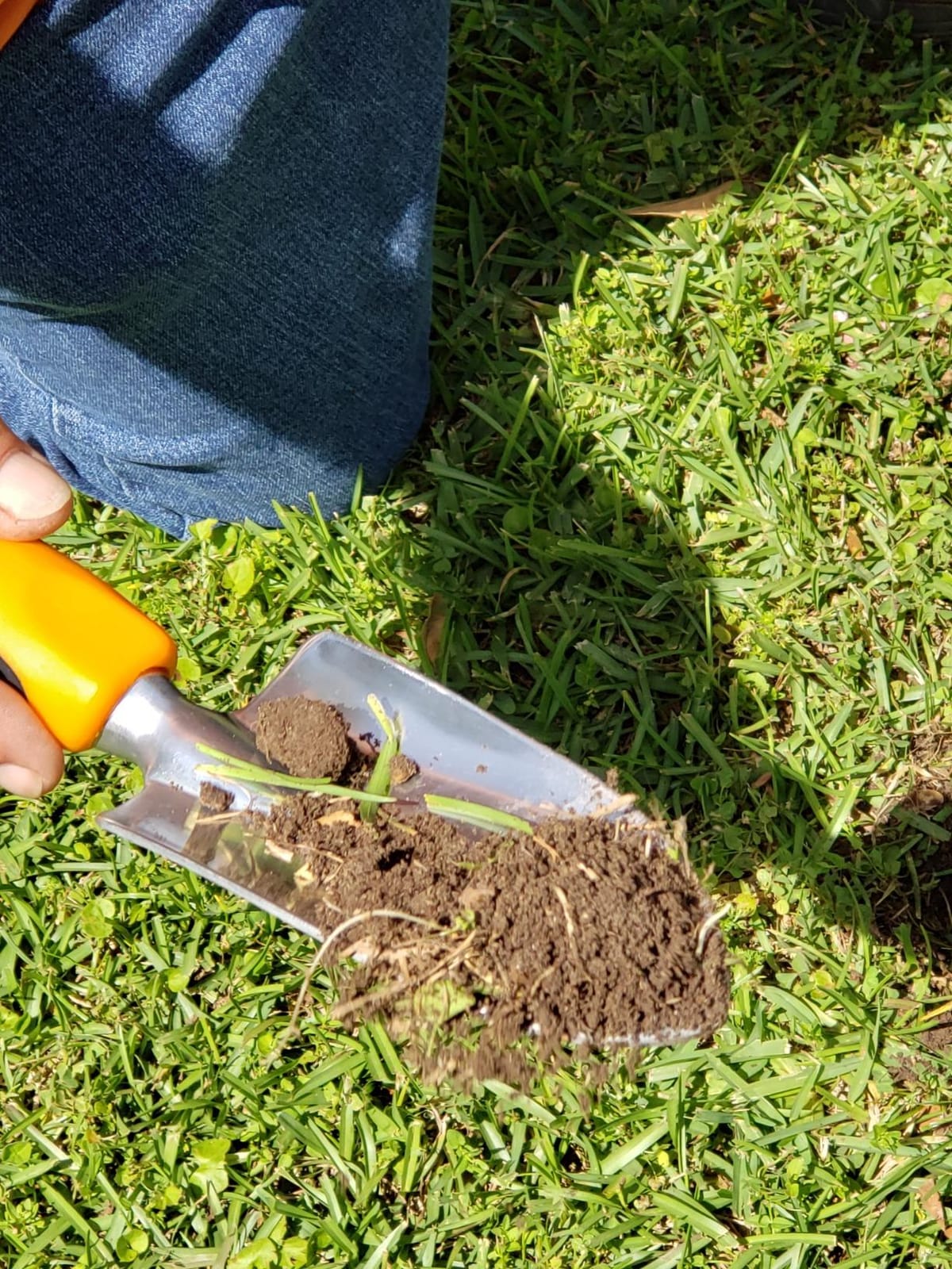 Soil Test Kit - Discover Your Lawn and Garden Fertility with pH, Nutrient and Mineral Analysis. Professional Results Provide Custom Fertilizer Prescription for Your Yard. customer photo 1
