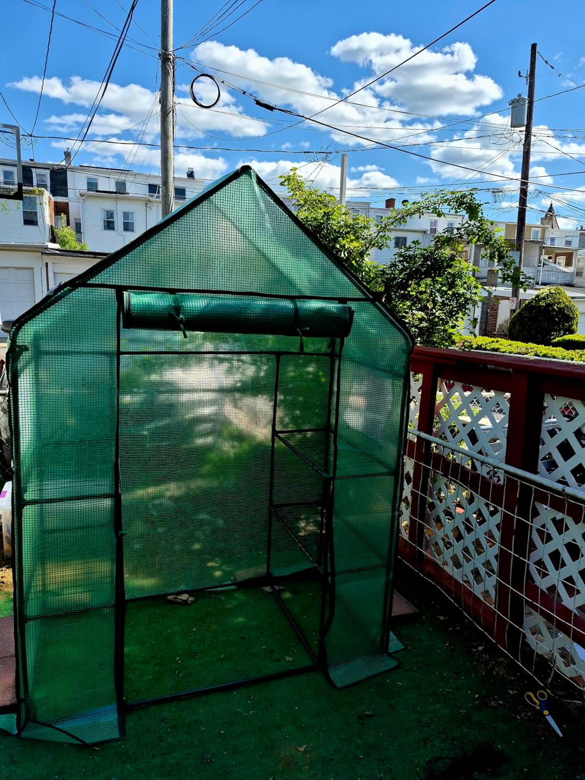 Ohuhu Greenhouse for Outdoors with Screen Windows, 57 x 57 x 76'' Walk in Plant Greenhouses Heavy Duty with Durable PE Cover, 3 Tiers 12 Shelves Stands Plastic Portable Green House with Shelf Clips customer photo 1