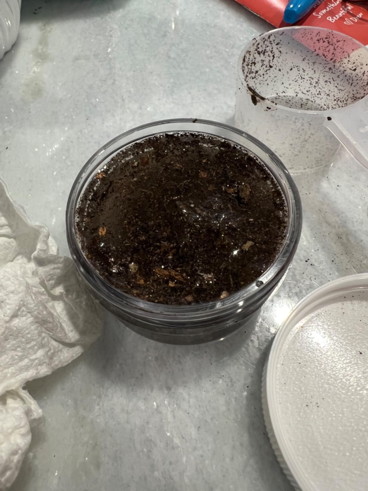 MySoil Soil Test Kit, Unlock Your Lawn & Garden Potential, Complete & Accurate Nutrient and pH Analysis with Recommendations Tailored to Your Soil and Plant Needs customer photo 2