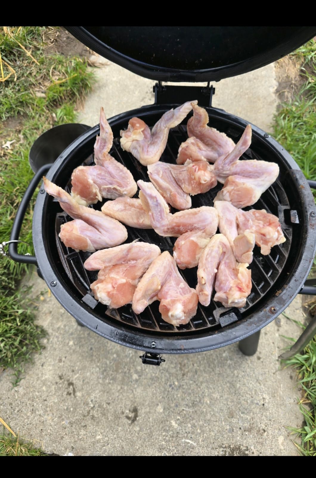 Char-Griller AKORN Jr. Portable Kamado Charcoal Grill and Smoker, Triple-Wall Insulated Steel with Cast Iron Grates and Locking Lid, 155 Sq. In. Cooking Area, Ash customer photo 2