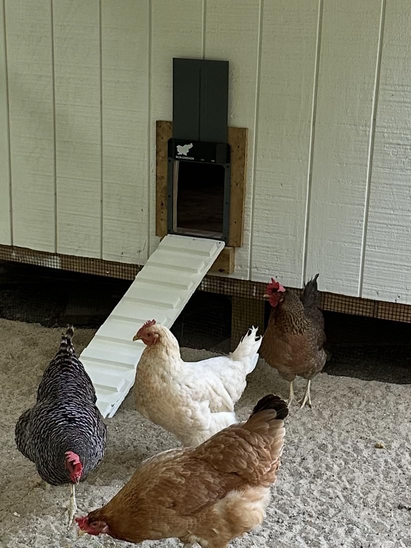RUN-CHICKEN Door T50 – Automatic Chicken Coop Door Opener, Battery Powered & Weatherproof Aluminum, Smart App & Timer Control, Predator Proof, Easy Install, Reliable All-Season Performance (Gray) customer photo 2