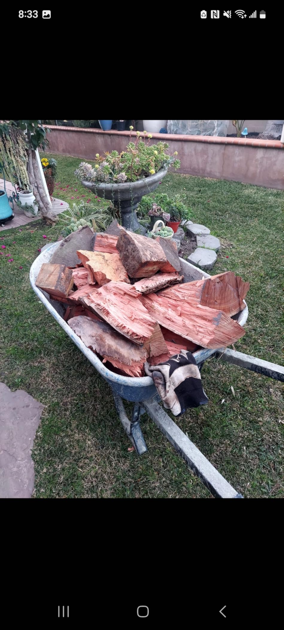 Landworks Portable 20-Ton Gas Log Splitter, 7 HP, Rapid Auto Return customer photo 1