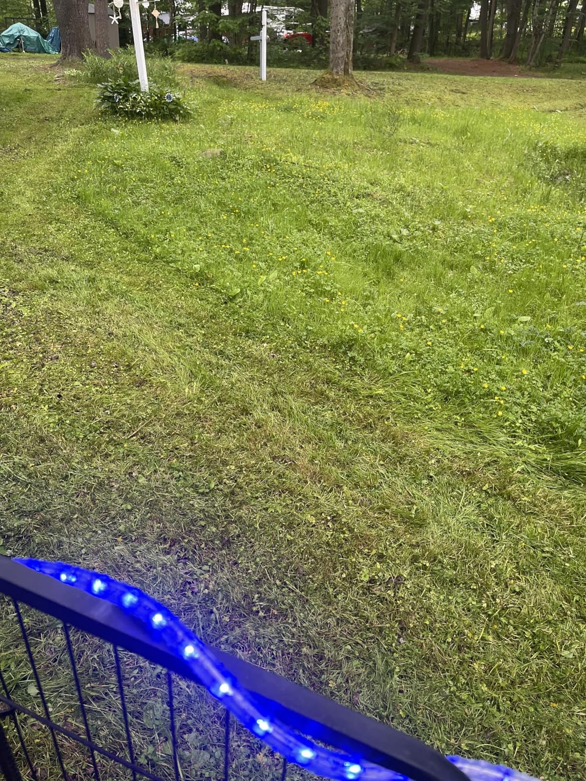 LawnMaster CLM2413A Cordless 13-Inch Lawn Mower 24V Max with 2X4.0Ah Battery and a Charger customer photo 2