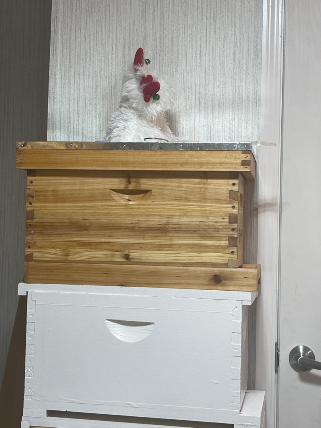 BeeCastle 5 Frame Bee Hive Nuc Box Coated with 100% Beeswax Includes Beehive Frames and Waxed Foundations customer photo 1