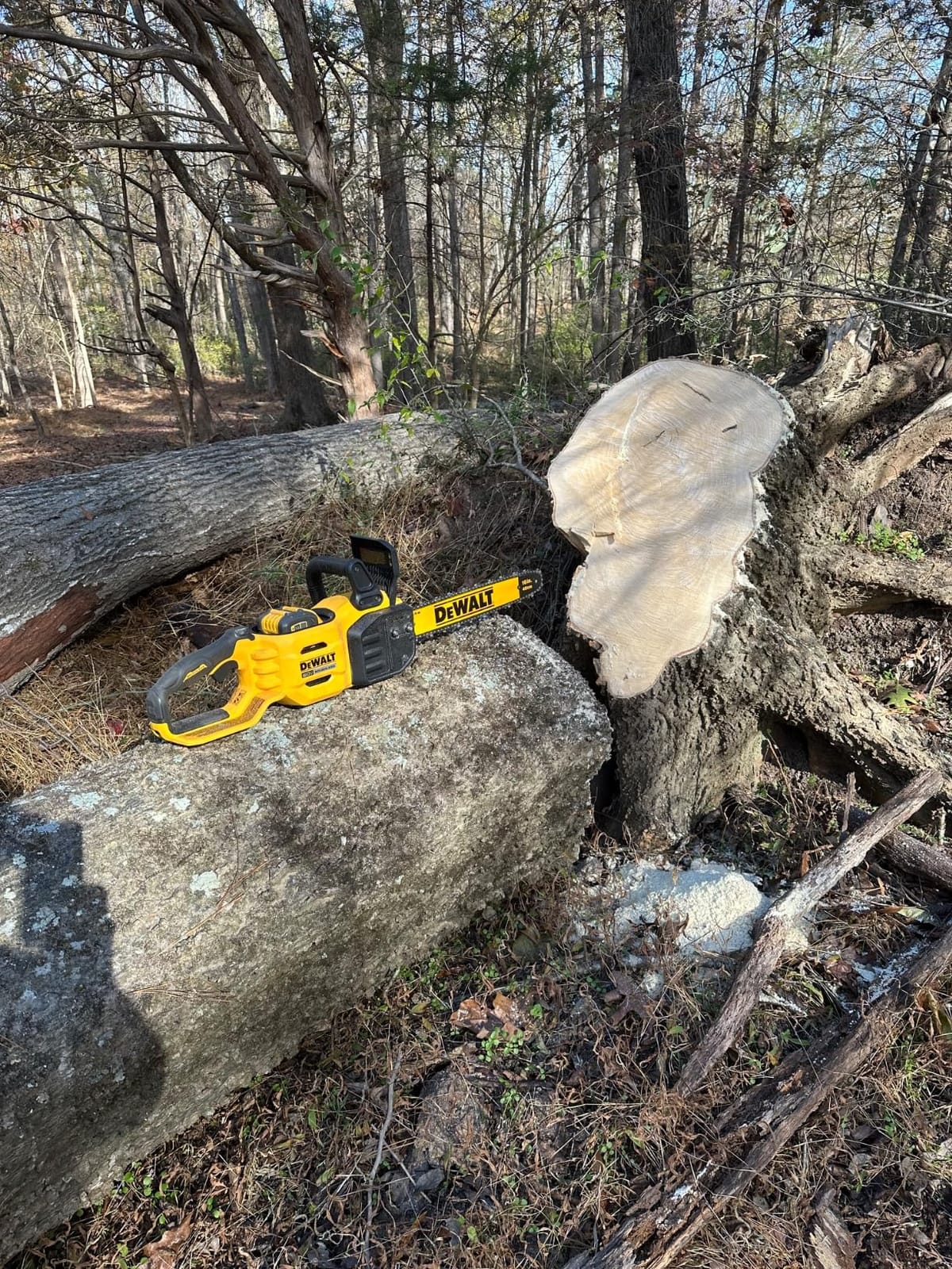 Dewalt Saw Chain BRUSHLESS Bare 18IN DCCS672B customer photo 1