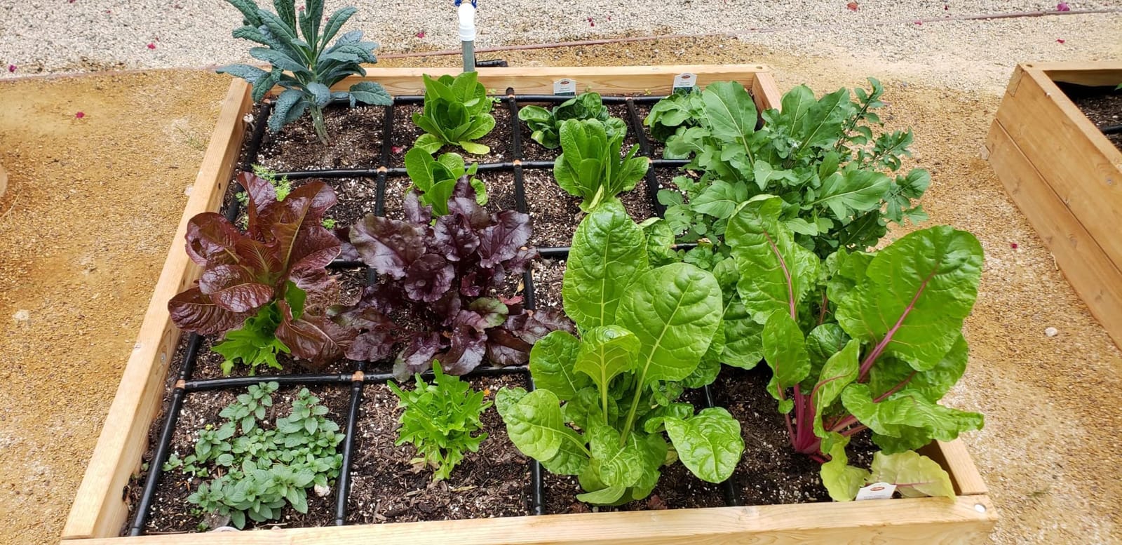 Garden Grid 3x6 | Raised Garden Irrigation System | Prebuilt, No Dry Spots customer photo 2