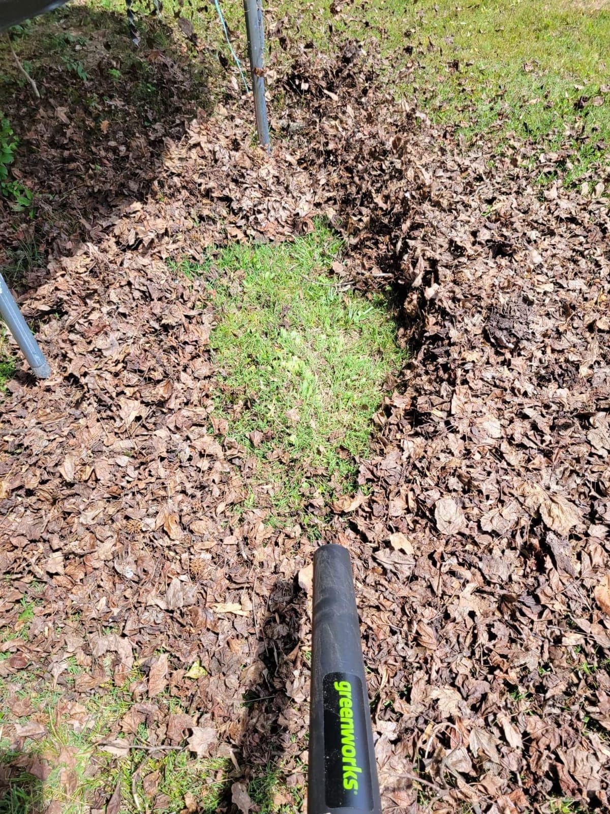Greenworks 40V Leaf Blower / Vacuum, 505 CFM, 5.0 Ah Battery and Charger customer photo 2