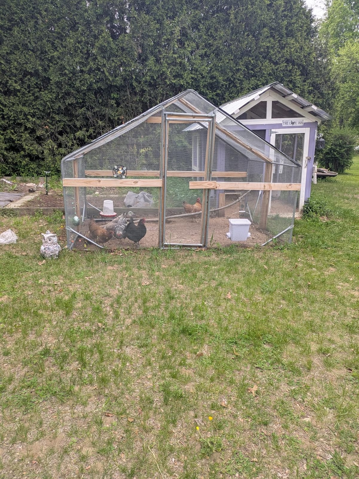 CHIKENCOOP 9.8 x 6.5 x 6.5 ft Metal Chicken Coop, Chicken Run with Cover customer photo 2