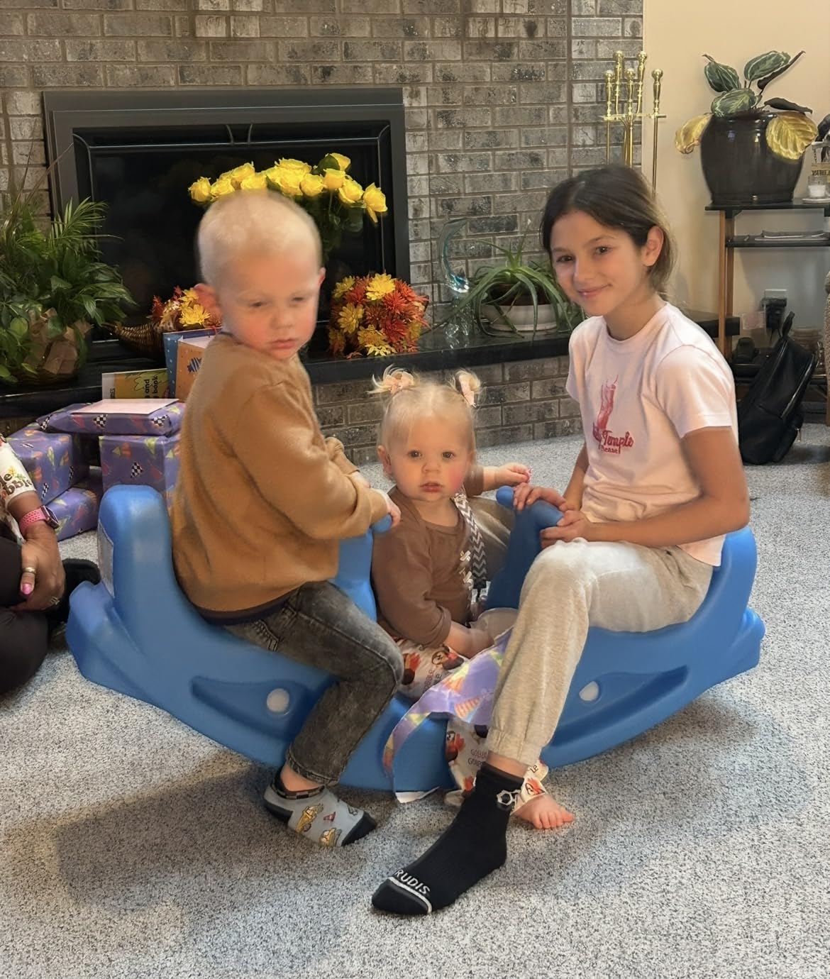 Simplay3 Up and Down Teeter Totter Seesaw - Rocking Fun for Two Toddlers or Kids Ages 18 Months to 5 Yrs- Sapphire, Made in USA customer photo 1