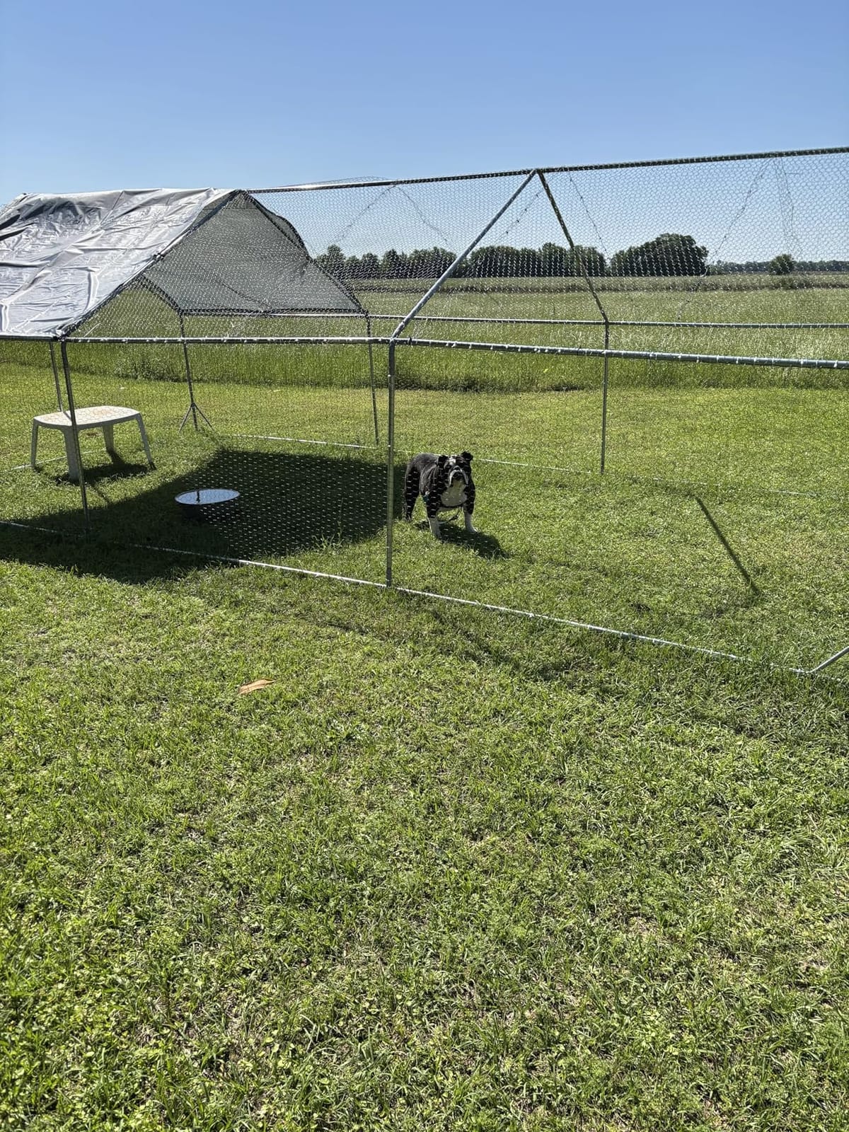 Large Metal Chicken Run Walk-in Poultry Cage Spire-Shaped Chicken Coop with Waterproof and Anti-Ultraviolet Cover for Outside,Backyard and Farm,19.6' L x 9.8' W x 6.4' H customer photo 2