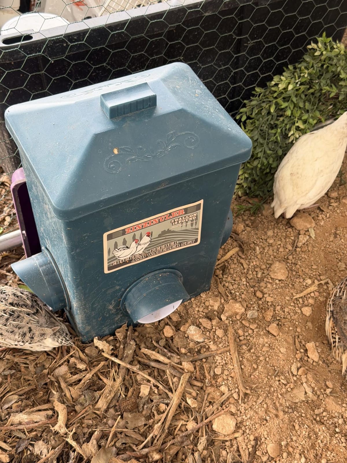 Automatic Port Chicken Feeder and Cup Waterer Set customer photo 1