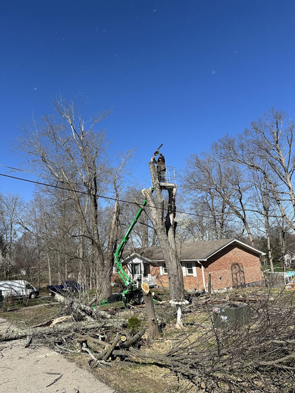 Greenworks 80V 18 in Cordless Electric Chainsaw, 4.0 Ah Battery and Charger customer photo 2