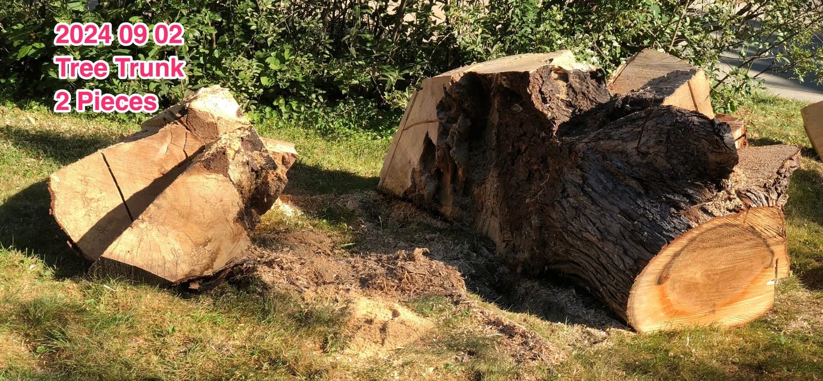 EGO POWER+ Chain Saw, 20” Battery Powered Chainsaw, Electric Cordless, Battery and Charger Not Included – CS2000 customer photo 2