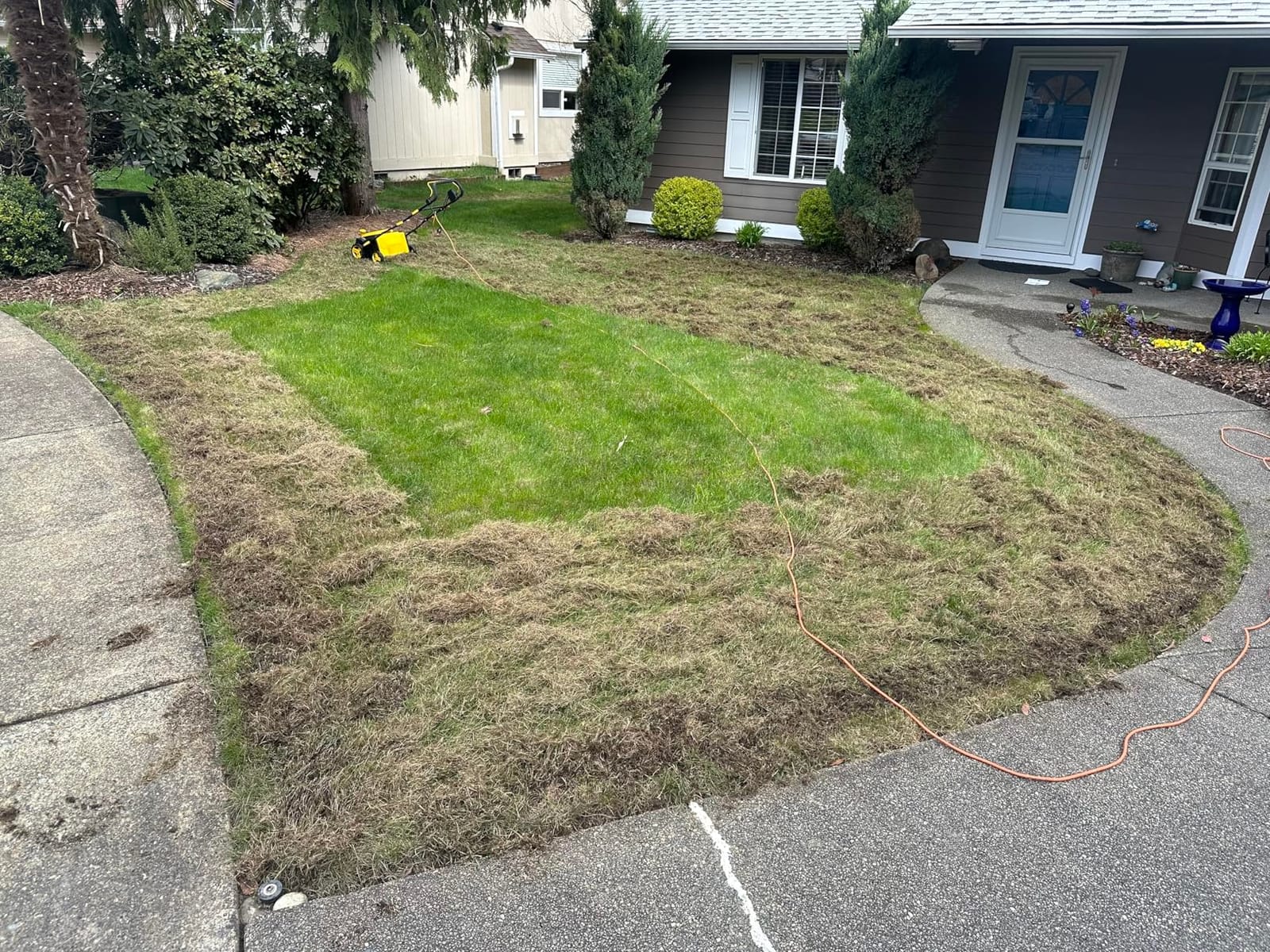 EVEAGE 16-Inch Electric Dethatcher, 15-Amp 2-in-1 Dethatcher and Scarifier customer photo 2
