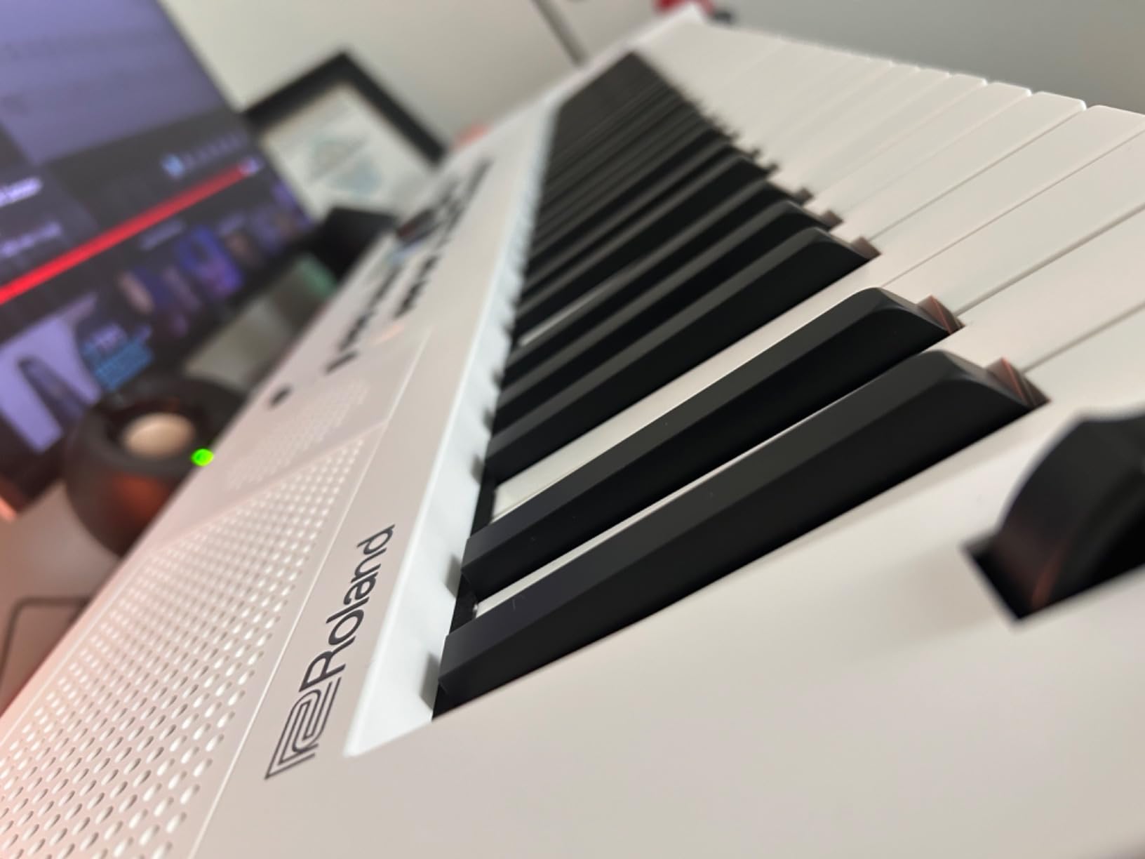 Roland GO:KEYS 5 Music Creation Keyboard, 61-Note, White customer photo 1
