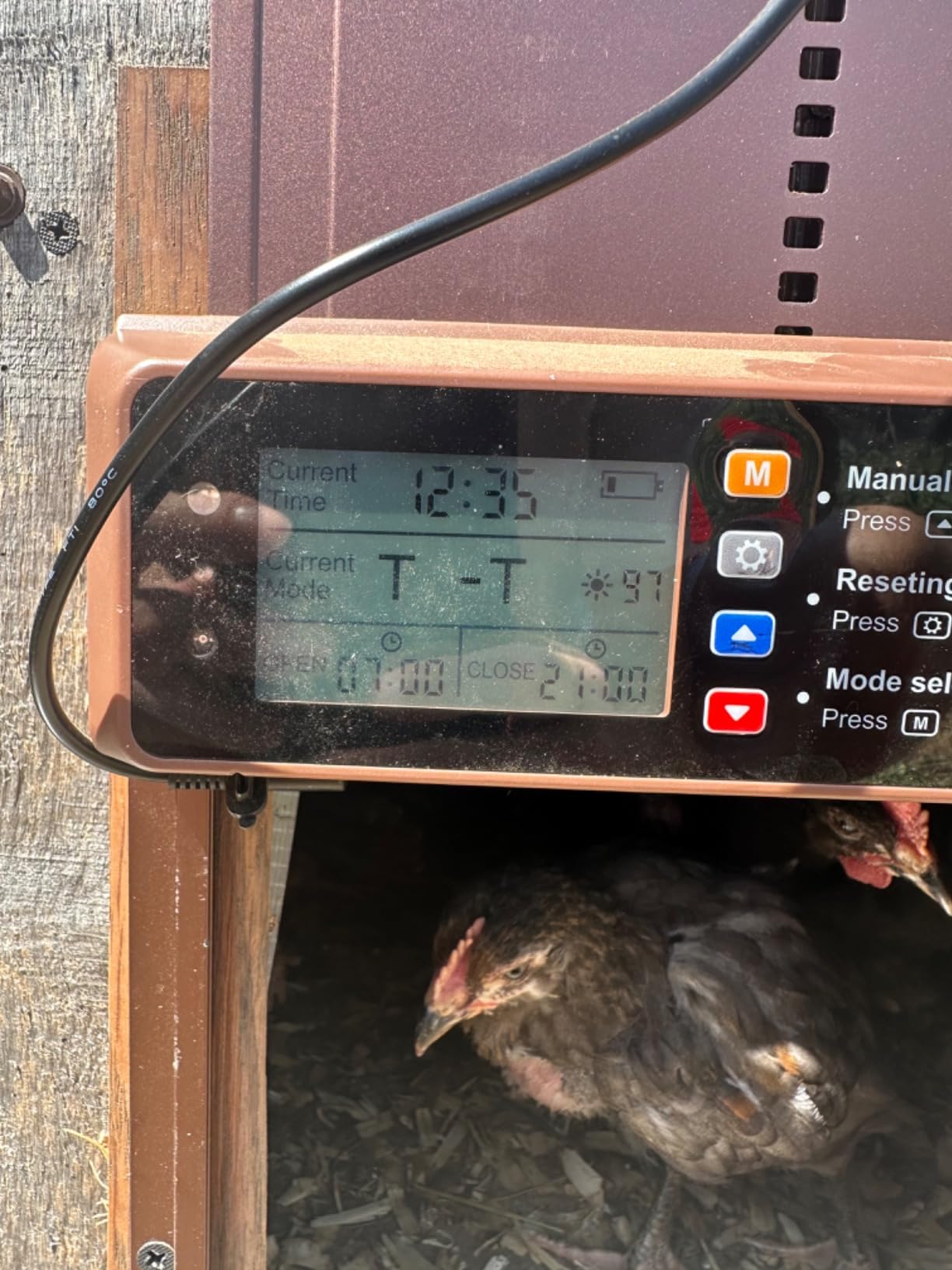 Automatic Chicken Coop Door Solar Powered with Timer & Light Sensor customer photo 2