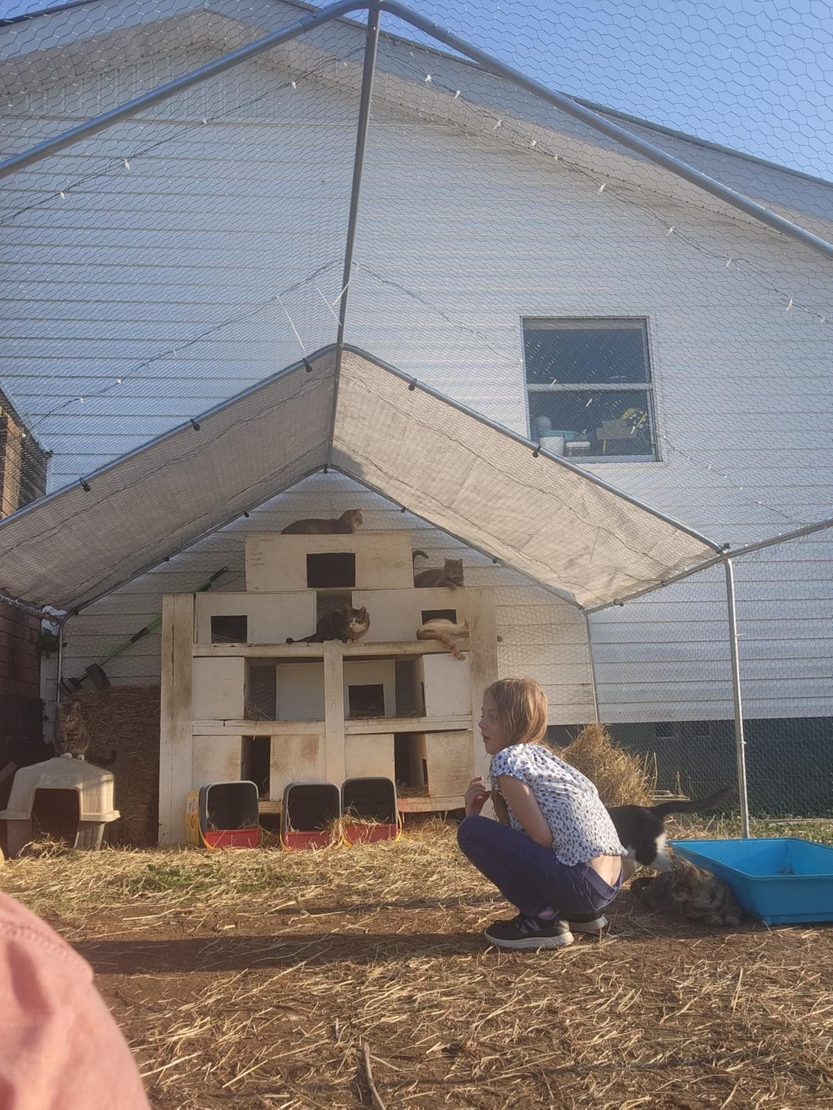Outvita Chicken Coop, 13×10 FT Large Metal Chicken House, Poultry Habitat Cage with Waterproof Cover, Walk-in Chicken Run Pen for Small Animals, Yard, Farm, Patio customer photo 1