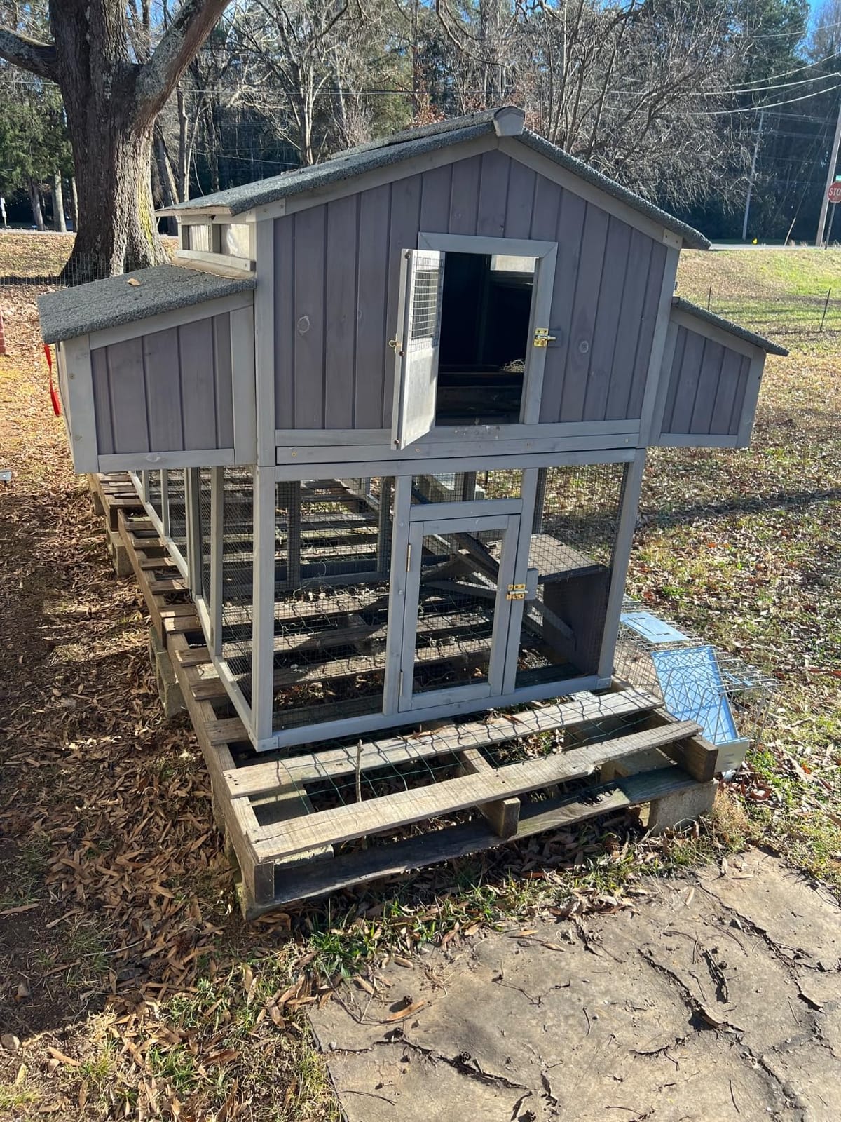 Aivituvin Chicken Coop Double Folding Fir Wood Chicken House with Large Nesting Box Poultry Cage Upgrade with Strong Iron Frame, Durable & Waterproof for 4-6 Hens Duck Coop customer photo 2
