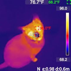 MILESEEY TR10 Thermal Imaging Camera, 192 × 192 IR Resolution, 25Hz customer photo 2