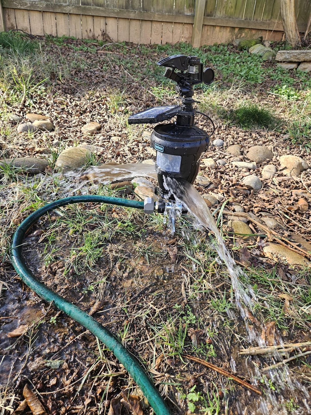 Motion Activated Sprinklers for Yard - Effective Deer & Cat Repellent, Skunk Deterrent, Raccoon & Dog Repellent, Lawn Sprinkler System, Water Sprinkler for Lawn Protection customer photo 2