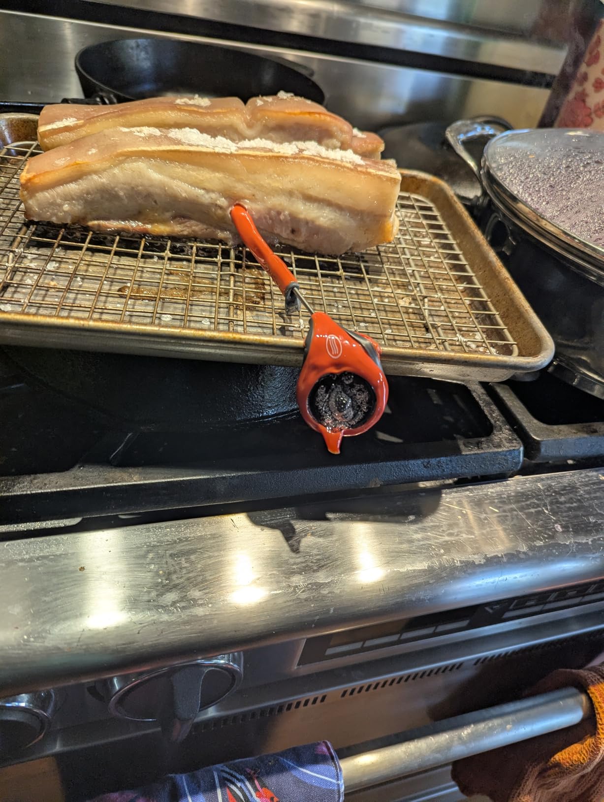 ThermoWorks ThermoPop 2 — Best Value Instant Read Thermometer - Cayenne Pepper Red customer photo 1