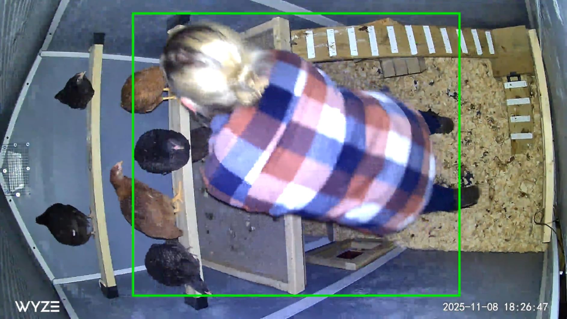 Chicken Coop Door, Light Sensor, Solar Powered Automatic with LCD Display customer photo 2