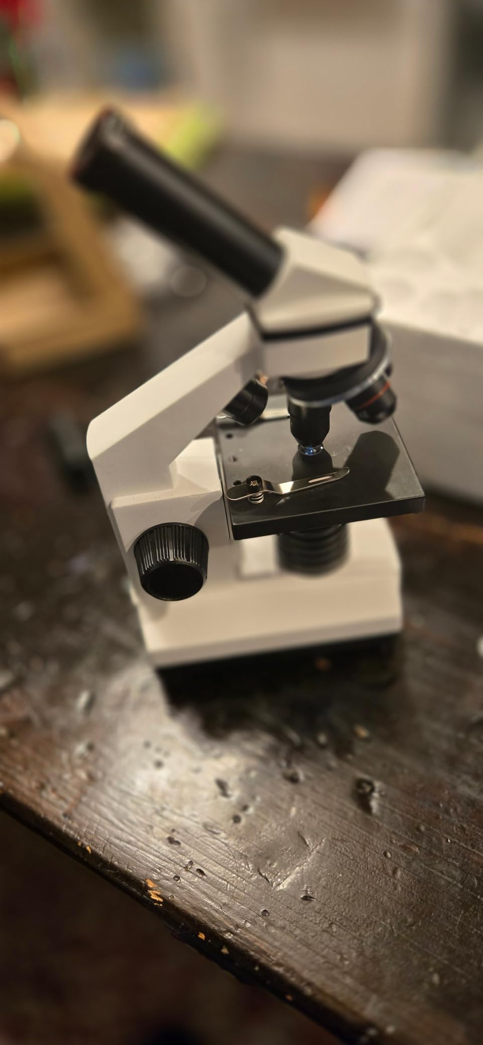 Microscope for Adults Professional:Compound Microscope for Kids 8-12,100X-2000X Kids Microscope Kit with Prepared Microscope Slides and Covers,Plant Stereo Microscopes for Kids Homeschool Lab customer photo 2