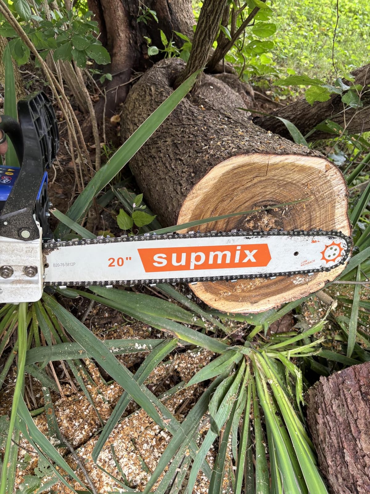 SUPMIXTOOLS 62cc Gas Chainsaw 20 Inch Gas Powered Chainsaws 2-Cycle Petrol customer photo 2