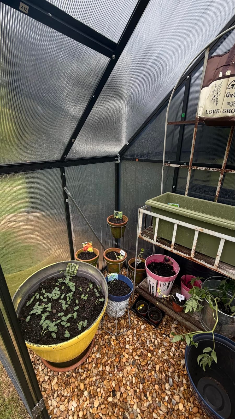8X10FT Greenhouse with Thermometers, Large Aluminum Greenhouse for Outdoors customer photo 2
