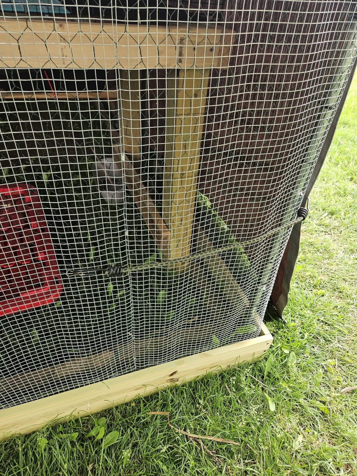 VEVOR Large Metal Chicken Coop with Run, Walkin Chicken Coop for Yard with Waterproof Cover, 6.5 x 9.8 x 6.5 ft, Spire Roof Large Poultry Cage for Hen House, Duck Coop and Rabbit Run customer photo 1