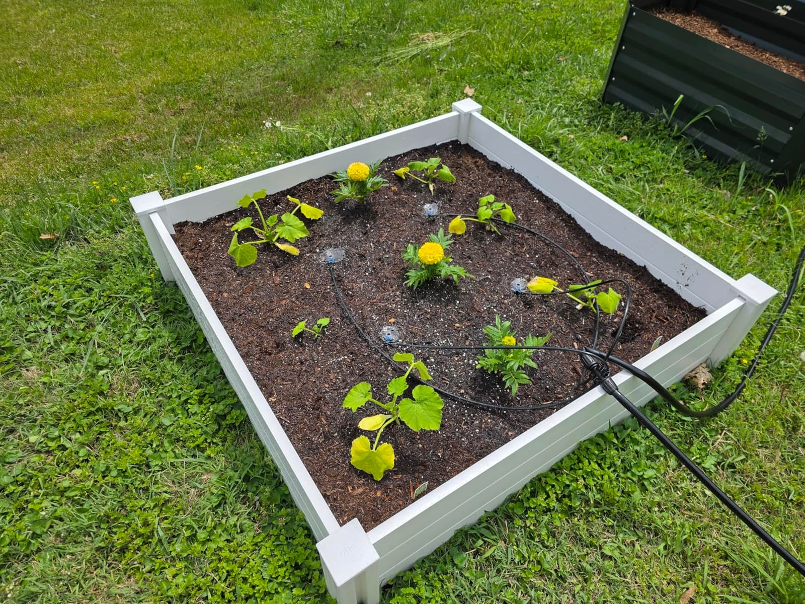 230FT Drip Irrigation System for Garden with 40 Nozzles & Emitters, Garden Watering System with 1/2