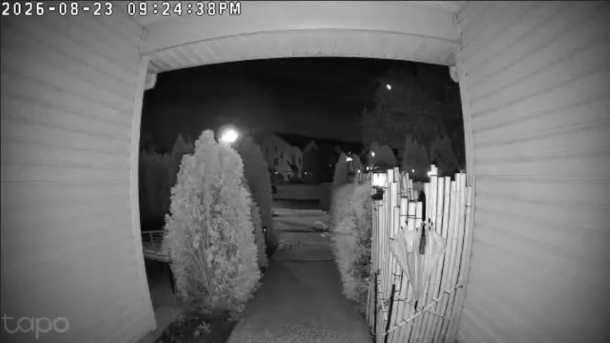 Tapo 2K Wireless Smart Video Doorbell, D205, 160° Ultra-Wide View customer photo 2