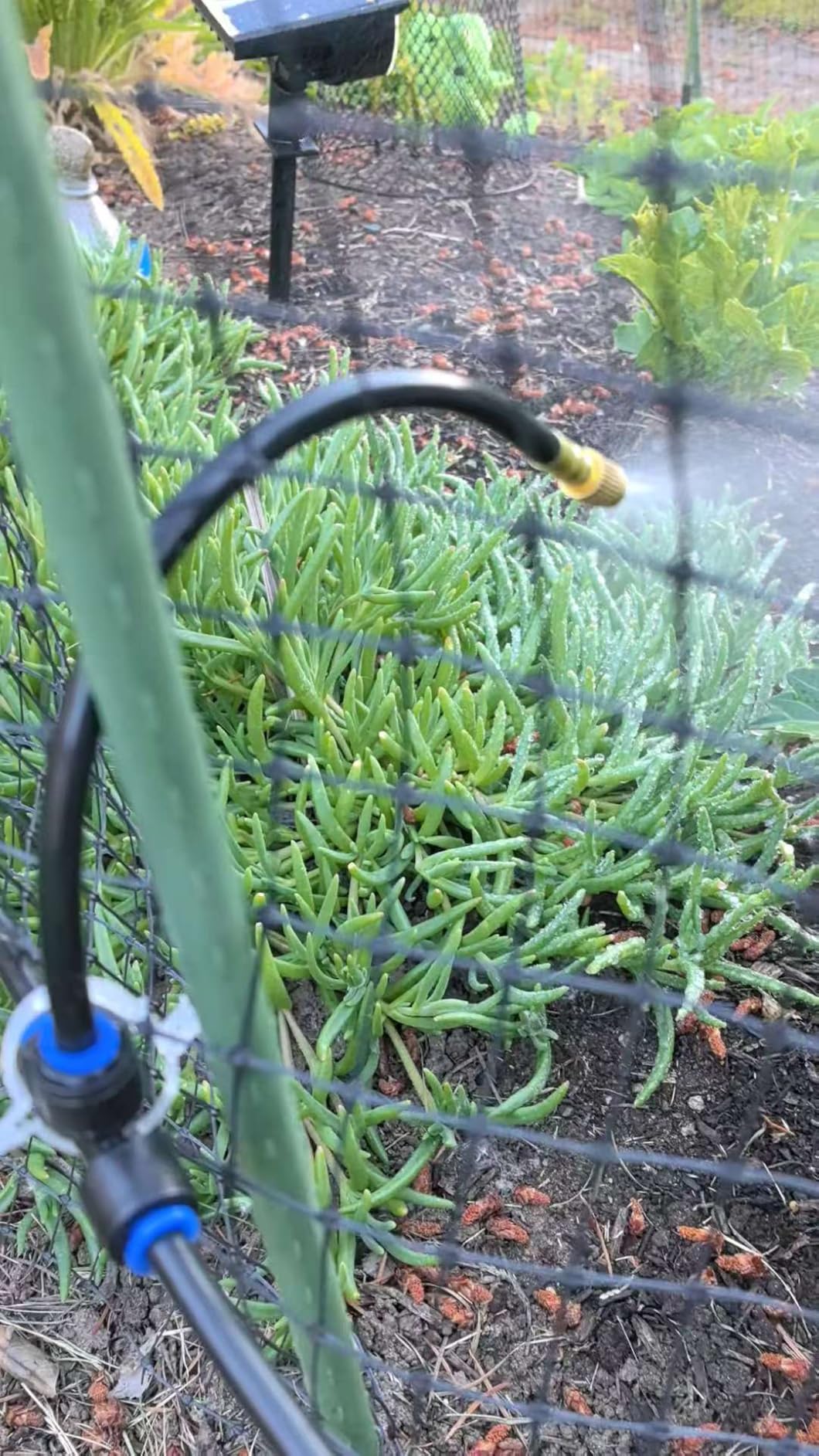 60FT Drip Irrigation System with Smart Water Timer customer photo 1