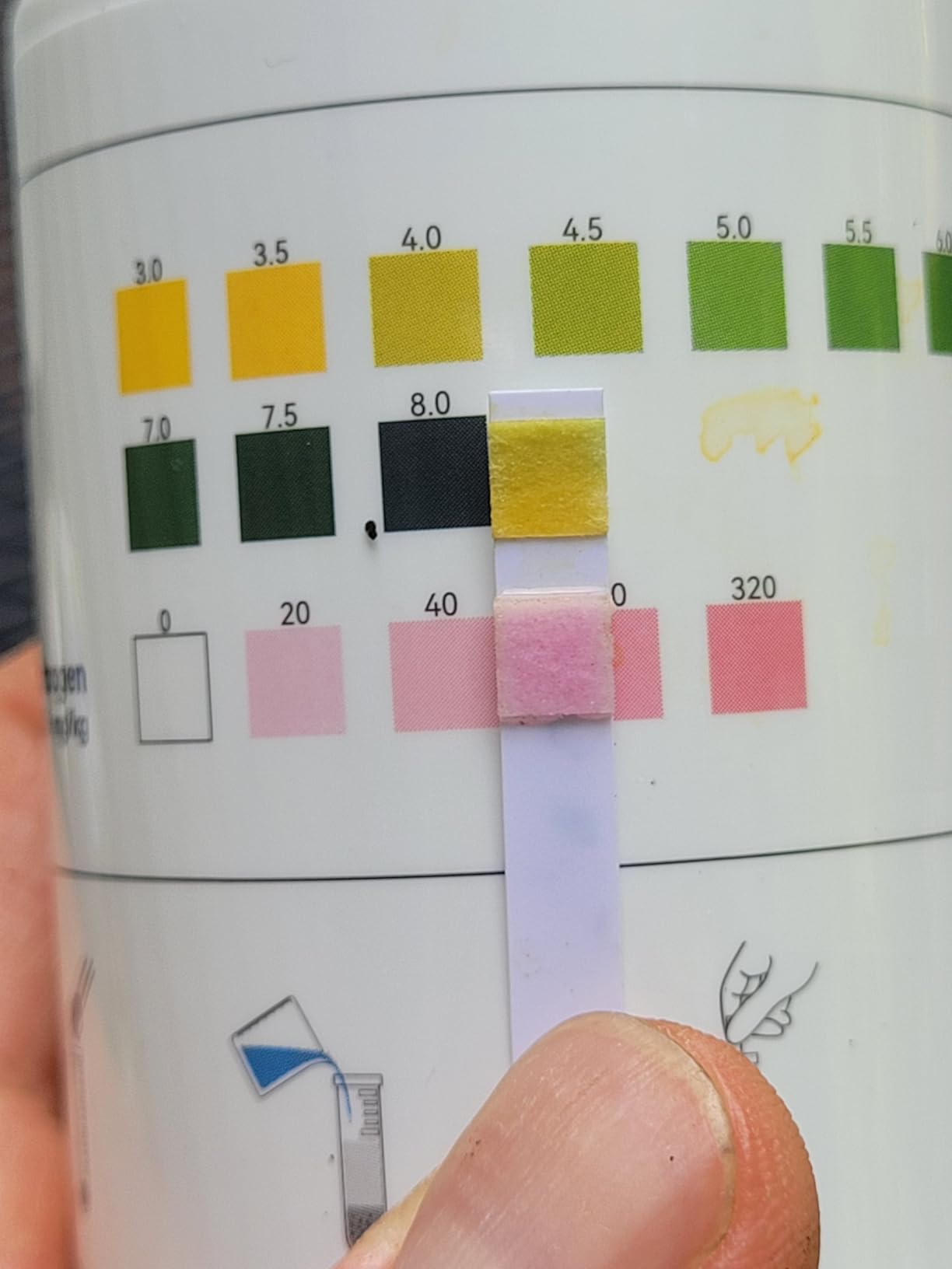 2-in-1 pH & Nitrogen Soil Test Kit, Home Soil Testing Kit for Lawns Gardening Grass Vegetables Nutrients, Soil pH Nitrogen Tester Strips Separately Sealed in Foils, Easy to Use, Rapid Results customer photo 1