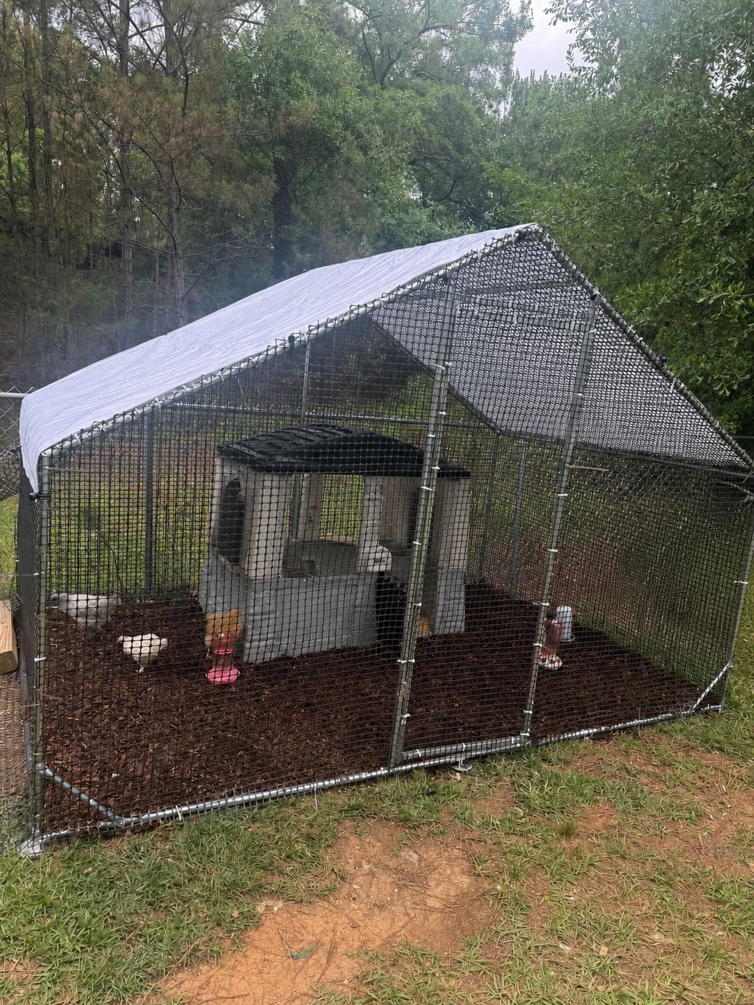 CAMMOO Walk in Chicken Coop, 9.8x6.6x6.6ft Chicken Run for Yard with Cover customer photo 2